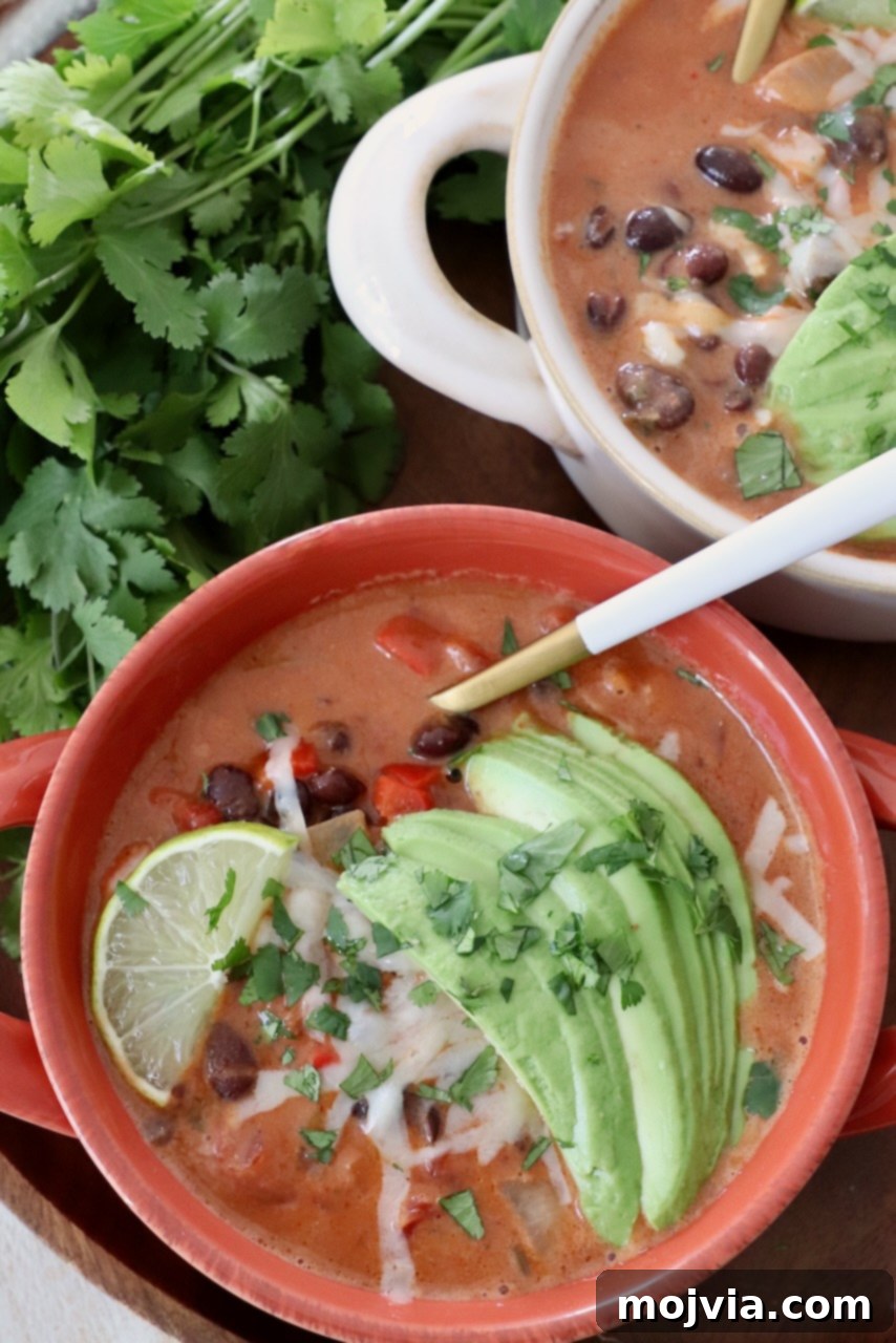 Zesty Southwest Black Bean Soup 9 black bean soup in bowl with spoon, topped with sliced avocado