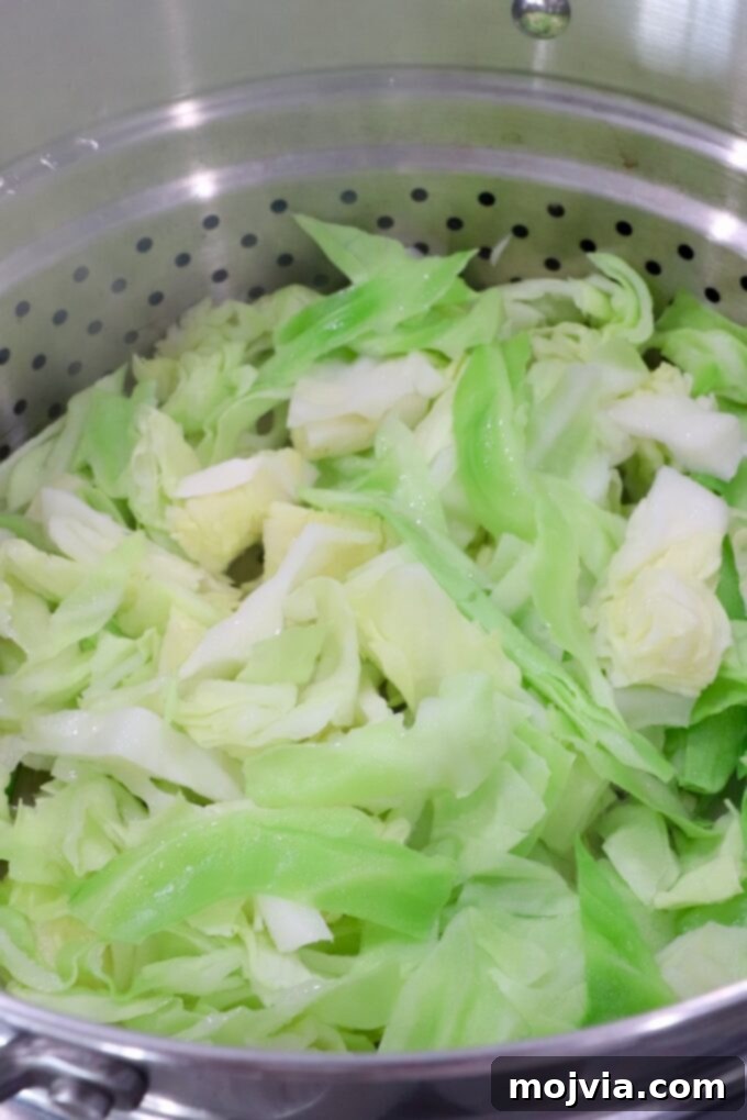 Shredded green cabbage in a metal steamer basket, placed inside a large pot, ready for steaming on the stove.