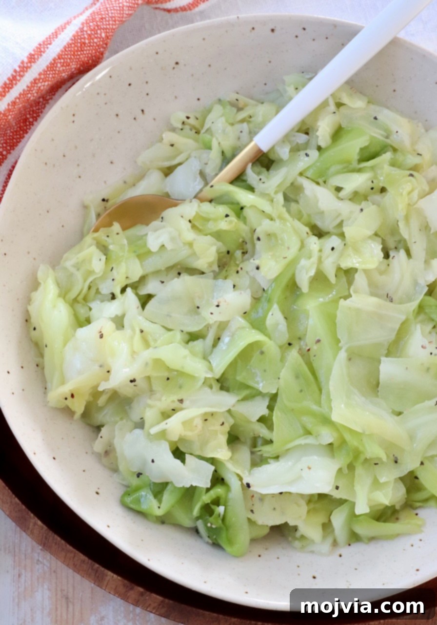 A bowl of shredded steamed cabbage, perfectly tender and seasoned, with a serving spoon resting inside, ready to be enjoyed.