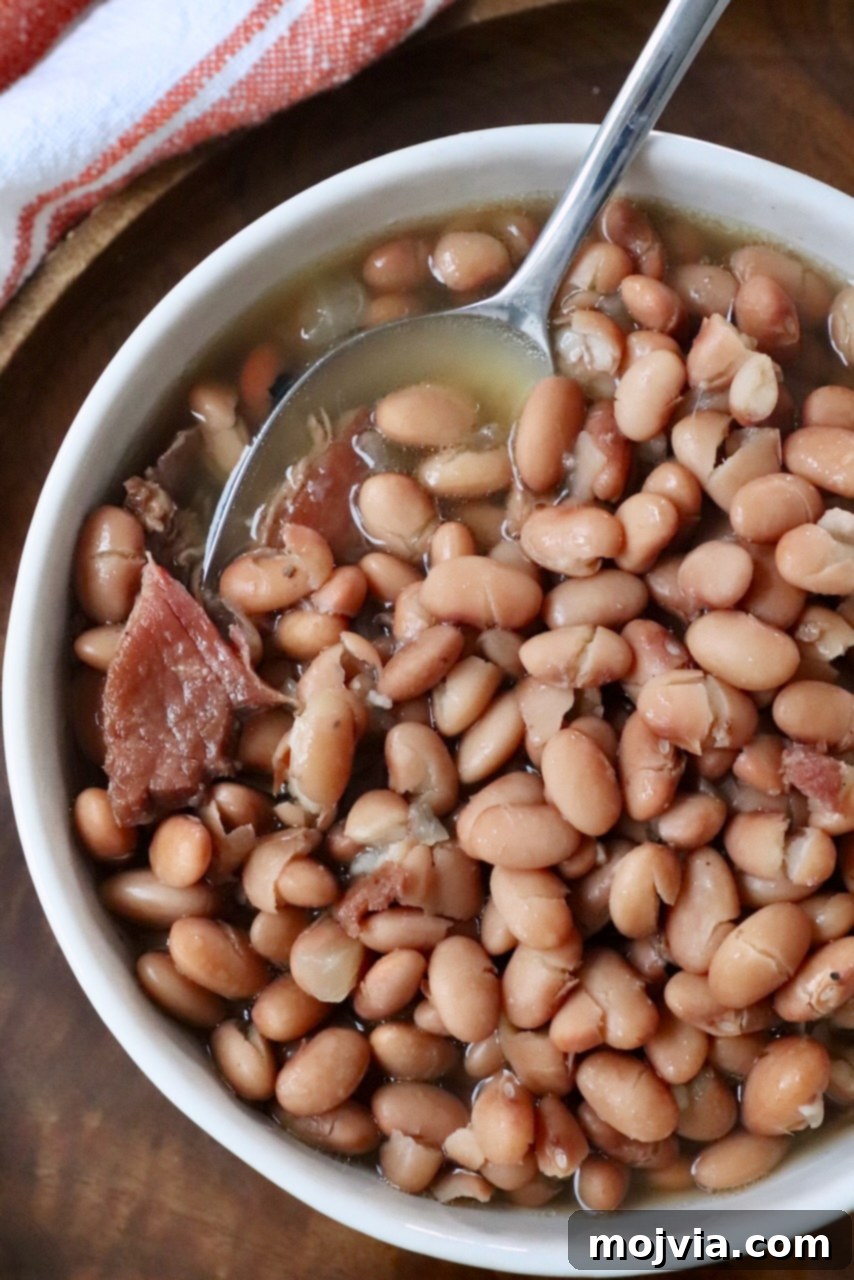 The Humble Pinto: A Culinary Staple 8 cooked pinto beans in bowl with spoon