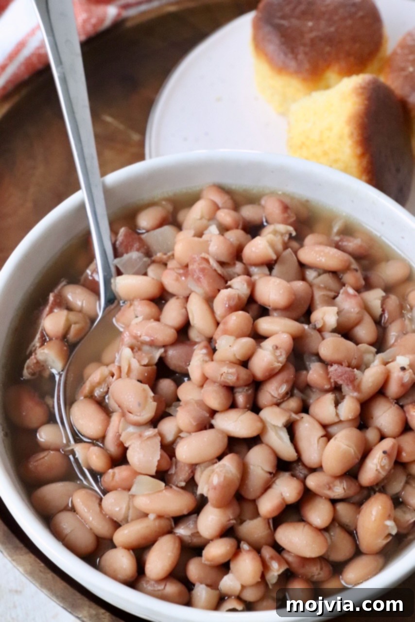The Humble Pinto: A Culinary Staple 9 beans in bowl with spoon