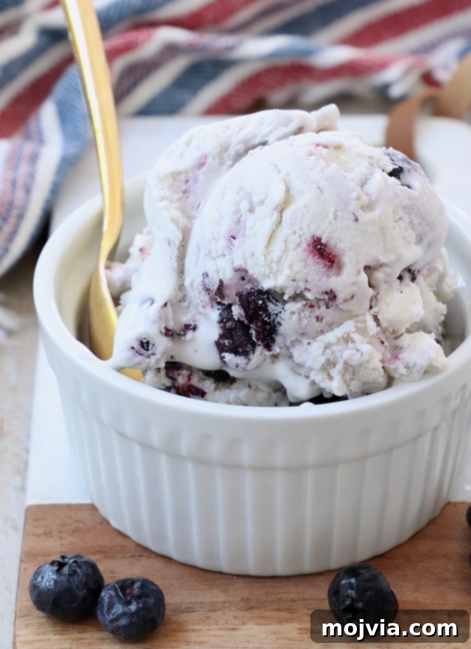 Frosted Blueberry Dream 2 Scoops of homemade blueberry ice cream in a small bowl with a gold spoon, showcasing its creamy texture and vibrant color.