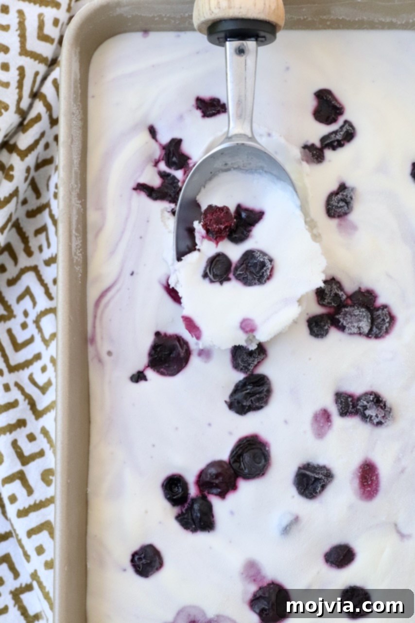Frosted Blueberry Dream 11 A metal container filled with frozen blueberry ice cream, with an ice cream scoop partially submerged, ready to serve.