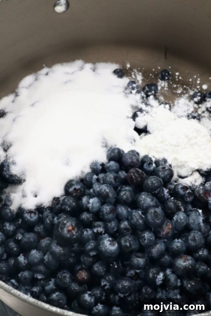 Frosted Blueberry Dream 4 Fresh blueberries and sugar in a large saucepan, beginning the process of making blueberry pie filling on the stove.