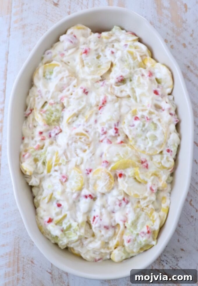 Golden Cheesy Squash Bake 11 The creamy squash mixture evenly spread in a greased casserole dish, ready for the topping.