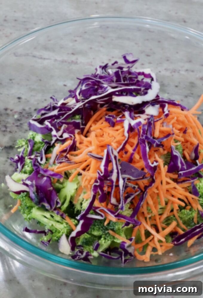 Vibrant Broccoli Slaw 8 A large mixing bowl containing chopped broccoli, shredded carrots, and shredded red cabbage, before dressing is added.
