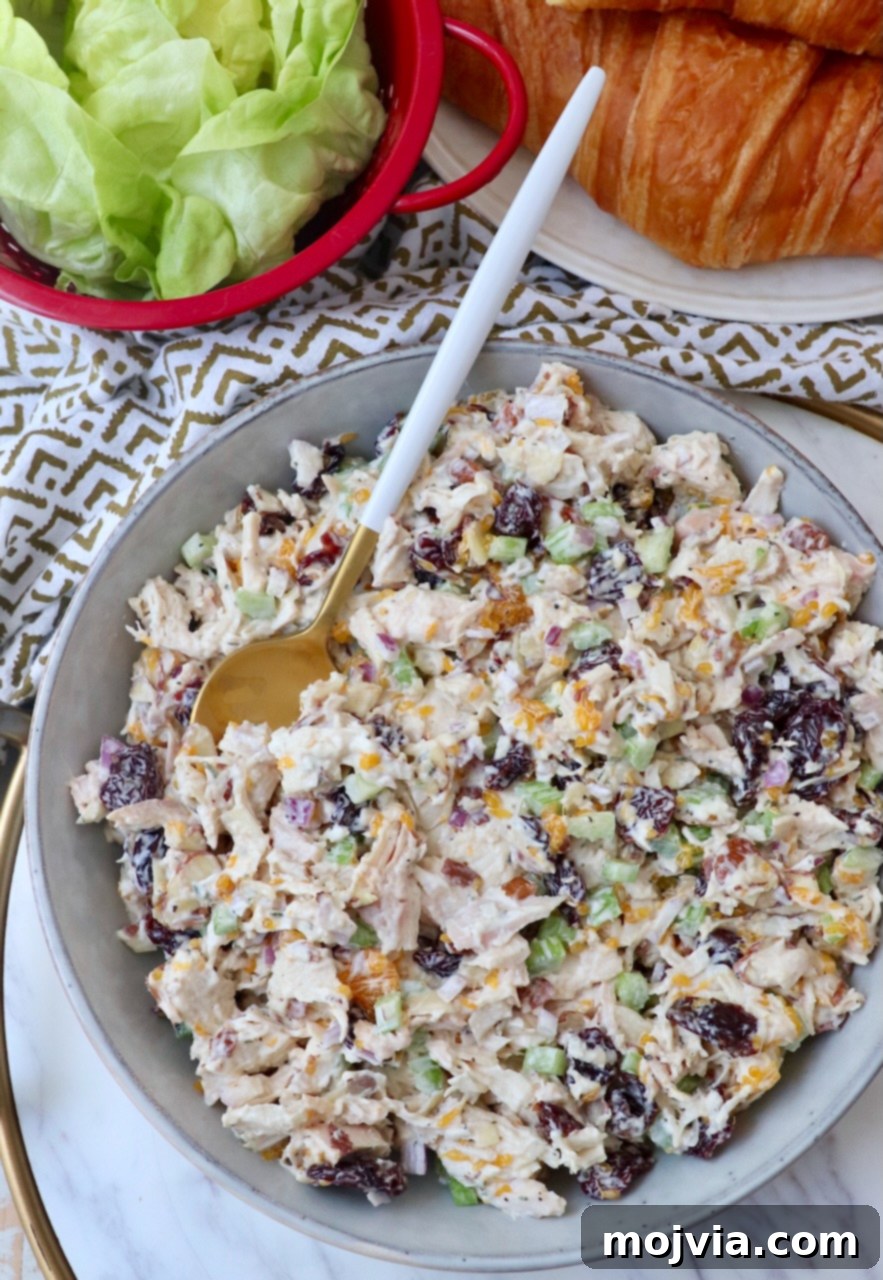 Garden Chicken Medley 2 classic chicken salad in a large serving bowl with a spoon, ready to be enjoyed