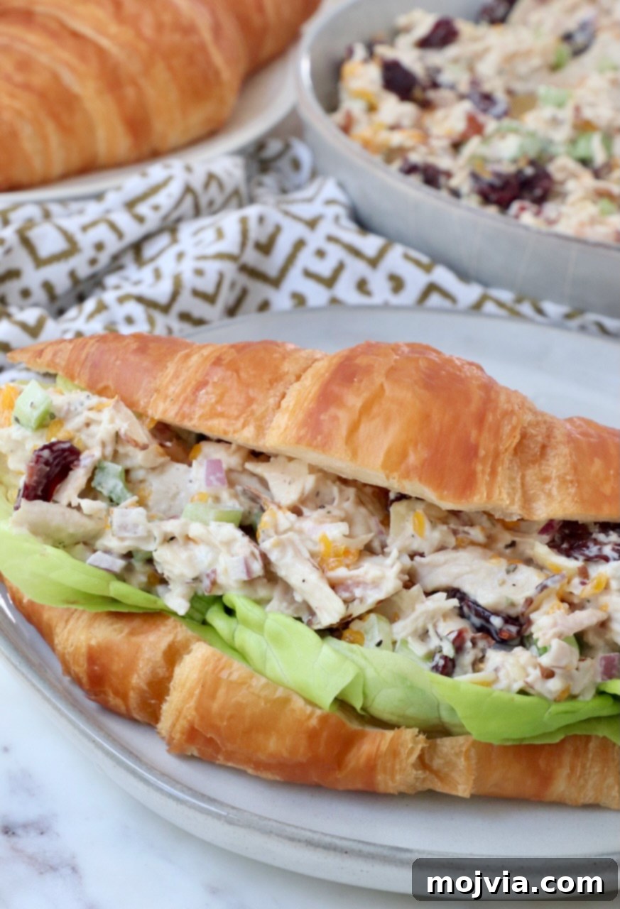 Garden Chicken Medley 6 chicken salad served on a flaky croissant with lettuce