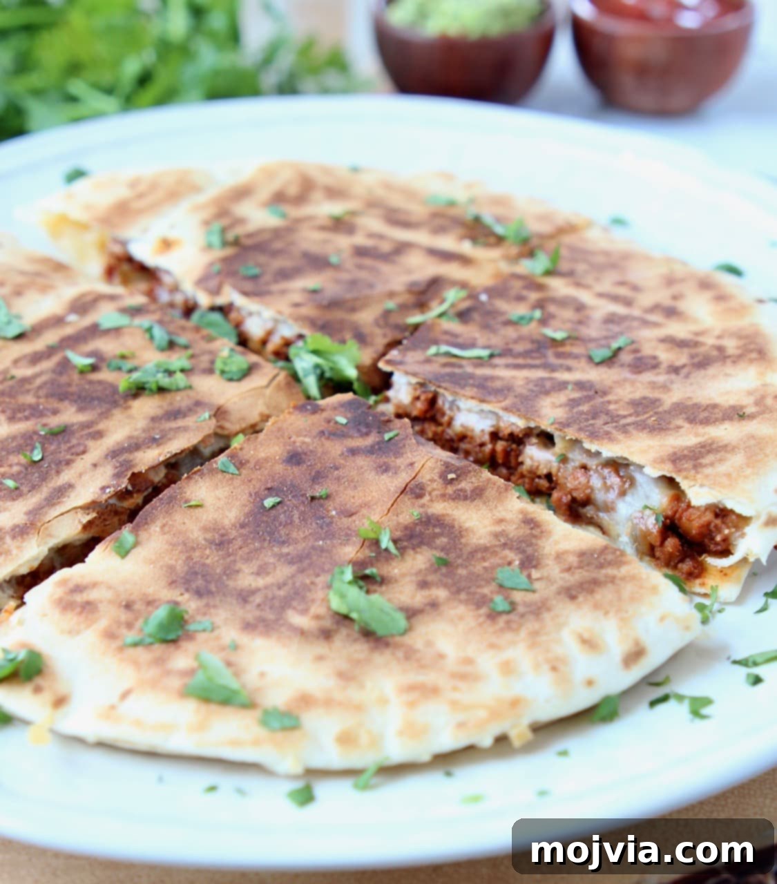 Zesty Soy Chorizo Fold 5 Quesadilla cut into quarters on plate