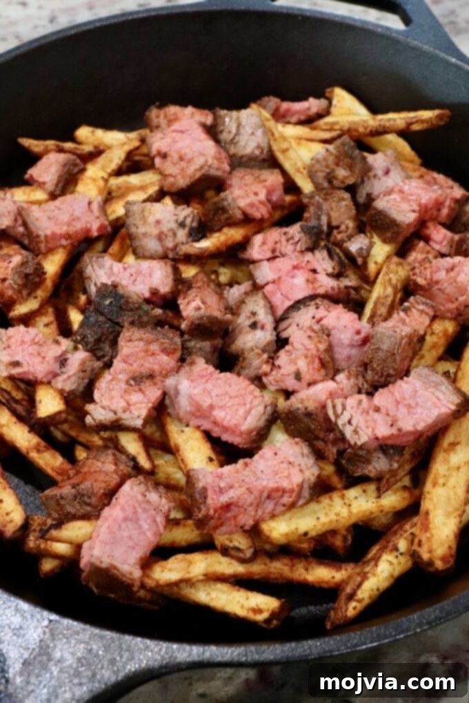 Ultimate Grilled Steak Fries 10 cooked french fries topped with diced grilled steak in cast iron skillet