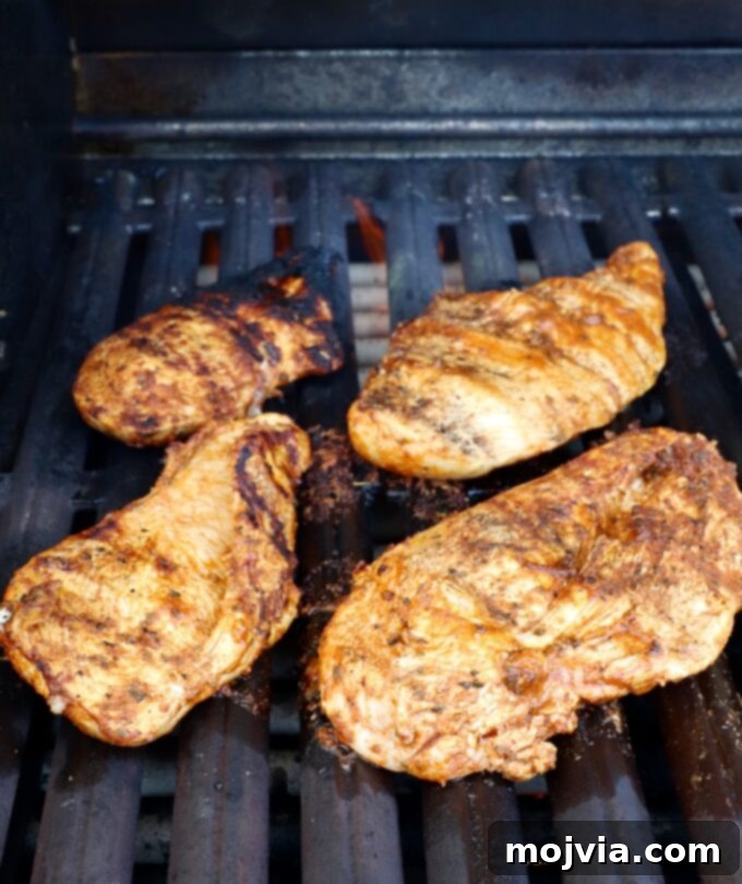 Elote Chicken Tacos 8 Perfectly grilled chicken breasts resting on the grill grates after reaching ideal internal temperature