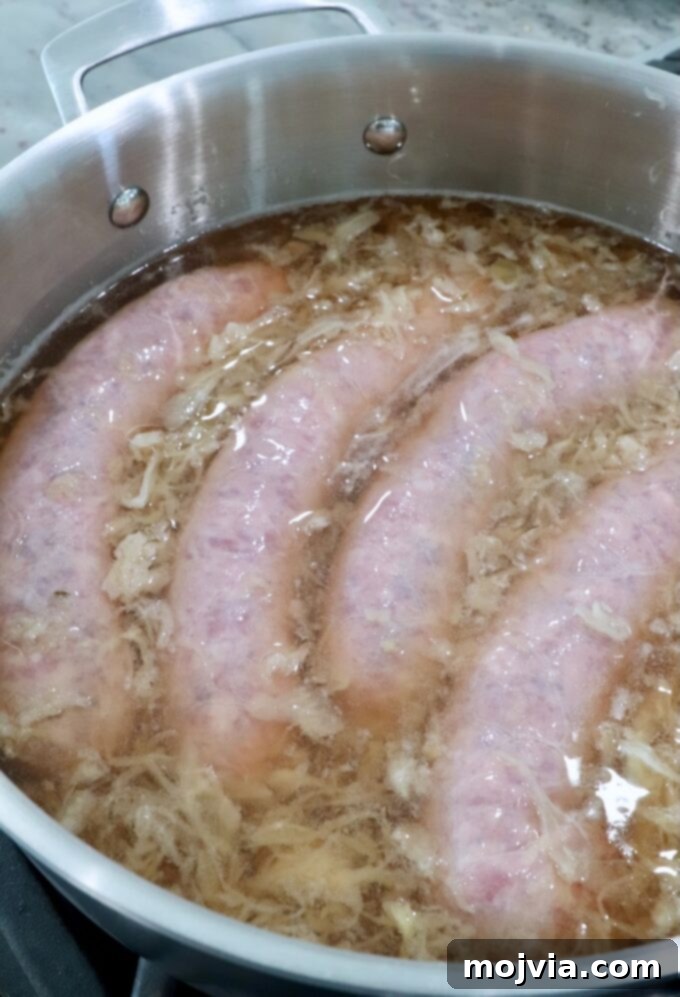 Raw bratwurst sausages being placed into a pan with beer and sauerkraut, ready for simmering on the stove.