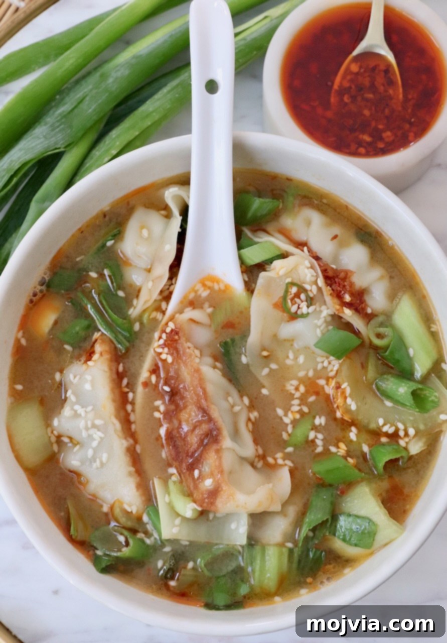 Comforting Gyoza Dumpling Soup 2 A steaming bowl of Gyoza Soup with crispy pan-fried gyoza and fresh green onions, ready to be enjoyed.
