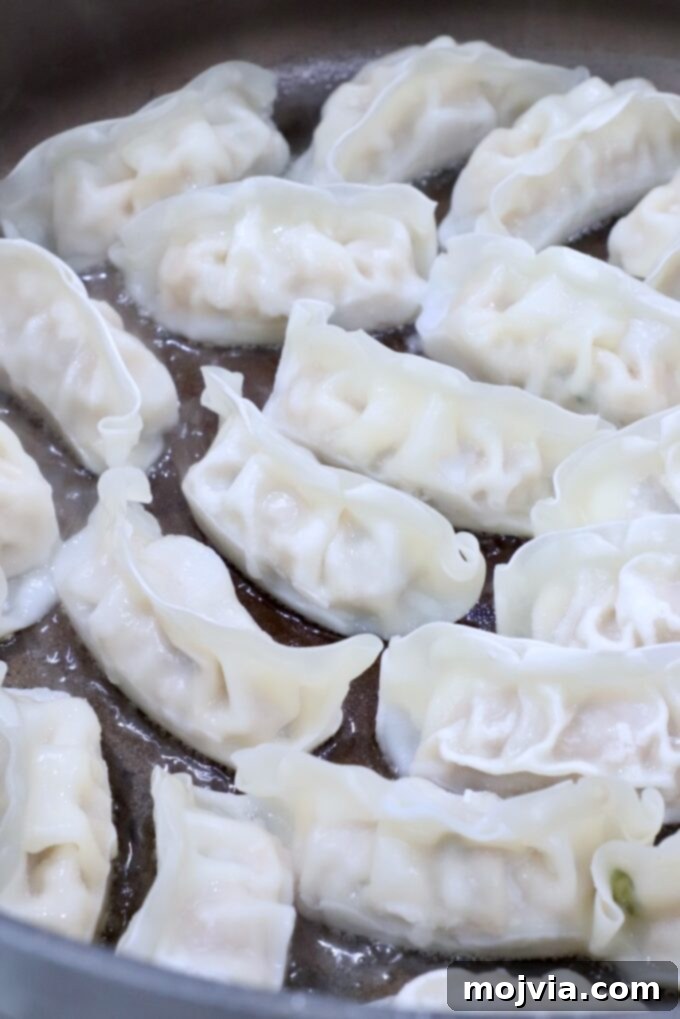 Comforting Gyoza Dumpling Soup 4 Frozen gyoza cooking in a pan with hot canola oil, developing a crispy bottom.