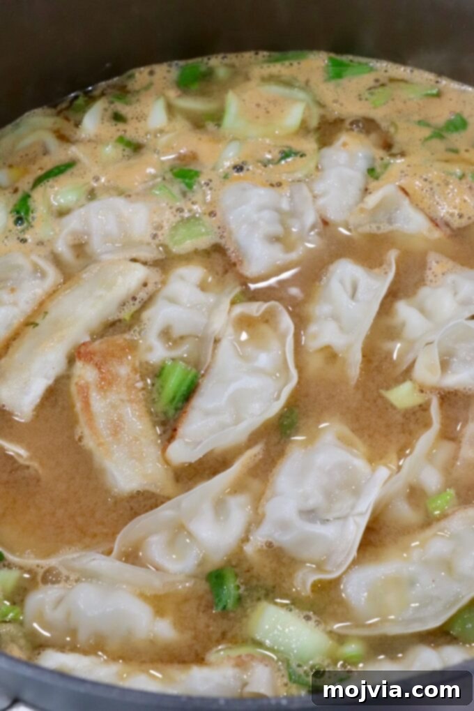 Comforting Gyoza Dumpling Soup 7 The Gyoza Soup simmering gently in a pot on the stove, with gyoza and bok choy visible in the rich broth.
