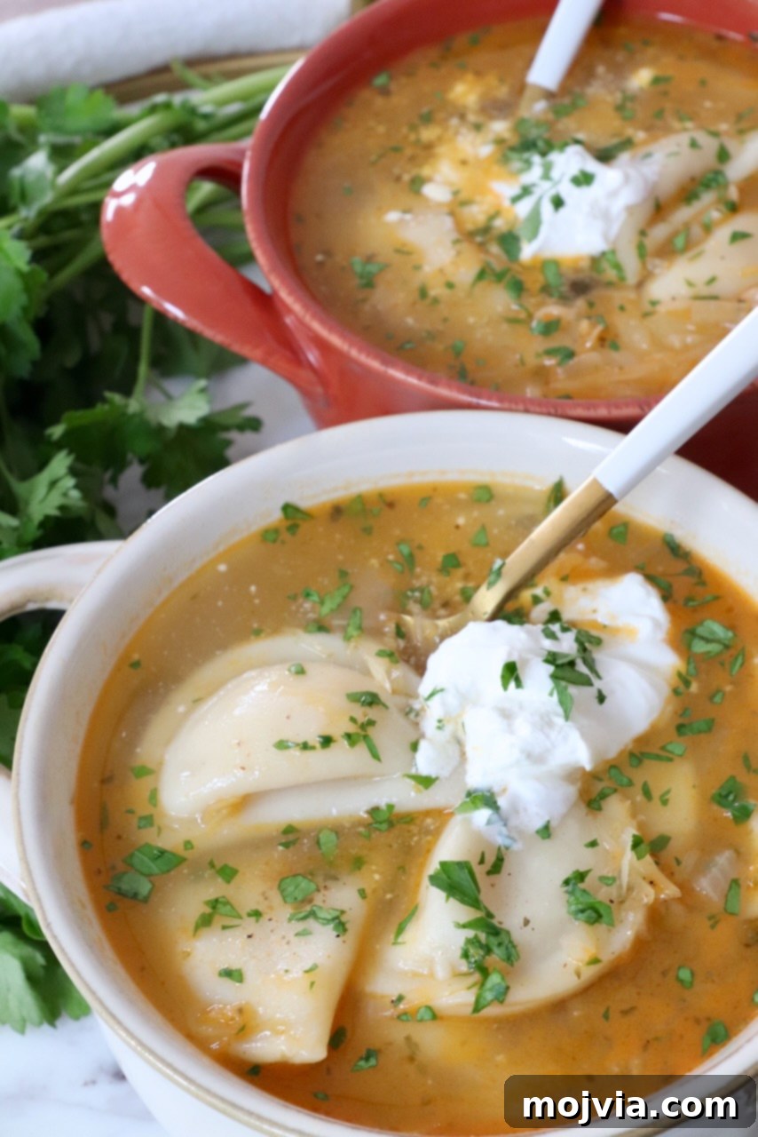 Hearty Pierogi Soup 7 Two bowls of pierogi soup topped with sour cream and fresh chopped parsley, ready to be served.