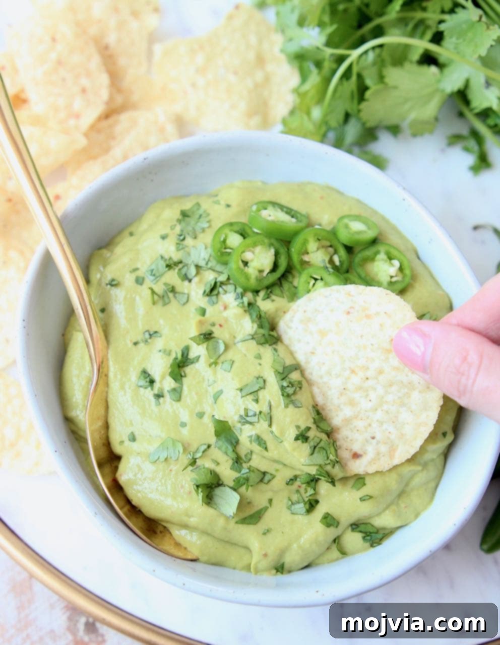 Tortilla chip being dipped into a bowl of avocado salsa