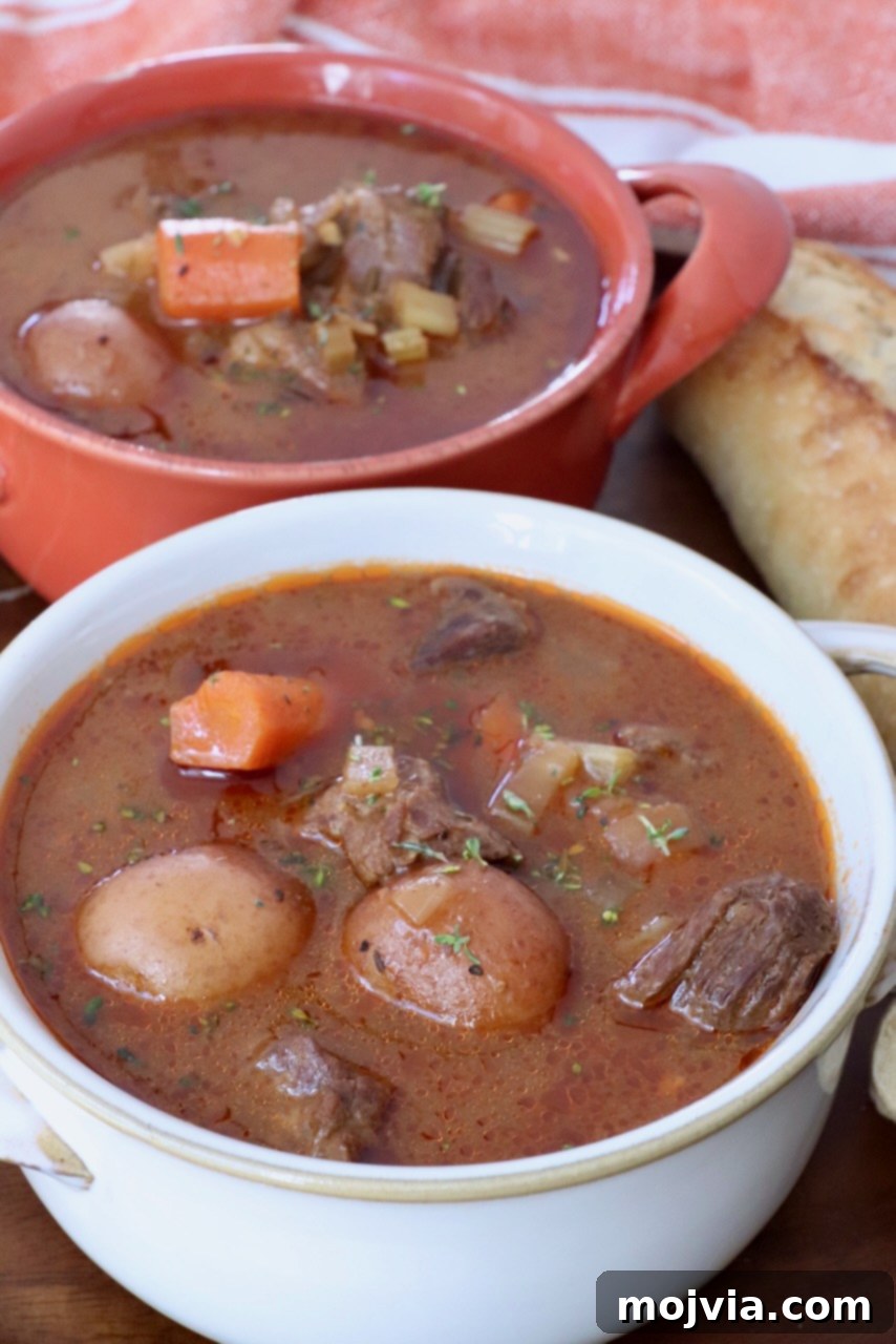 Ultimate Beef Stew Spice Mix 4 beef stew in bowls