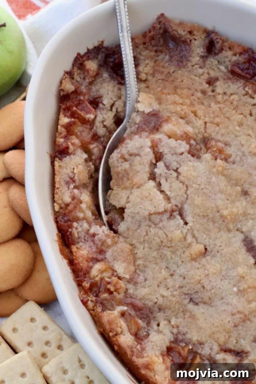 Baked apple pie dip in a casserole dish with a serving spoon, showcasing its layers and golden crumble. A plate of dippers is nearby.