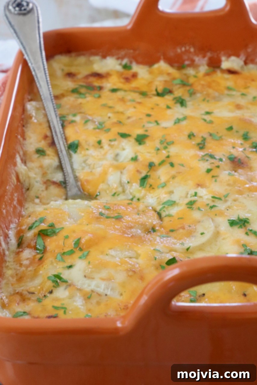 Ultimate Cheesy Potato Bake 2 au gratin potatoes in an orange casserole dish with a serving spoon
