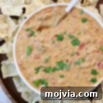 Irresistible Party Queso 7 queso dip in a bowl with a spoon
