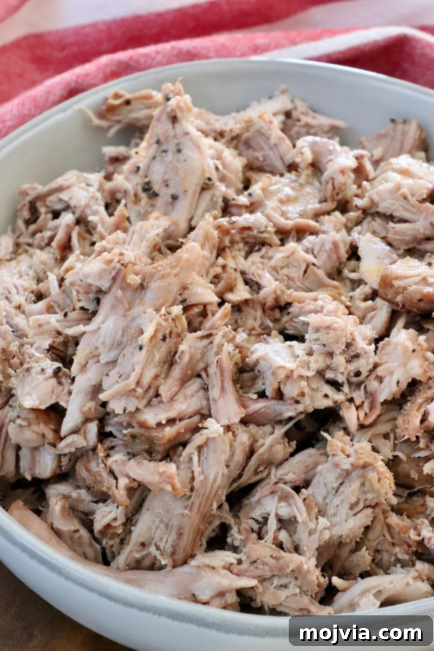 pulled pork in a bowl
