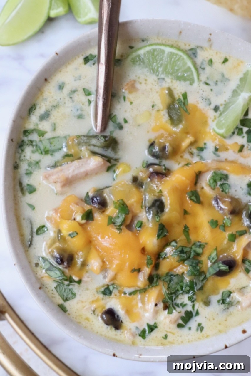 Roasted Poblano Chicken Soup 12 A close-up of a bowl of creamy Chicken Poblano Soup, topped with melted cheddar cheese and fresh cilantro, inviting you to take a spoonful.