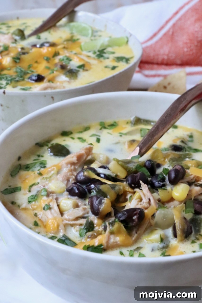 Roasted Poblano Chicken Soup 13 A beautifully presented bowl of creamy black bean and chicken poblano soup, with a spoon nestled in it, inviting you to savor every bite.