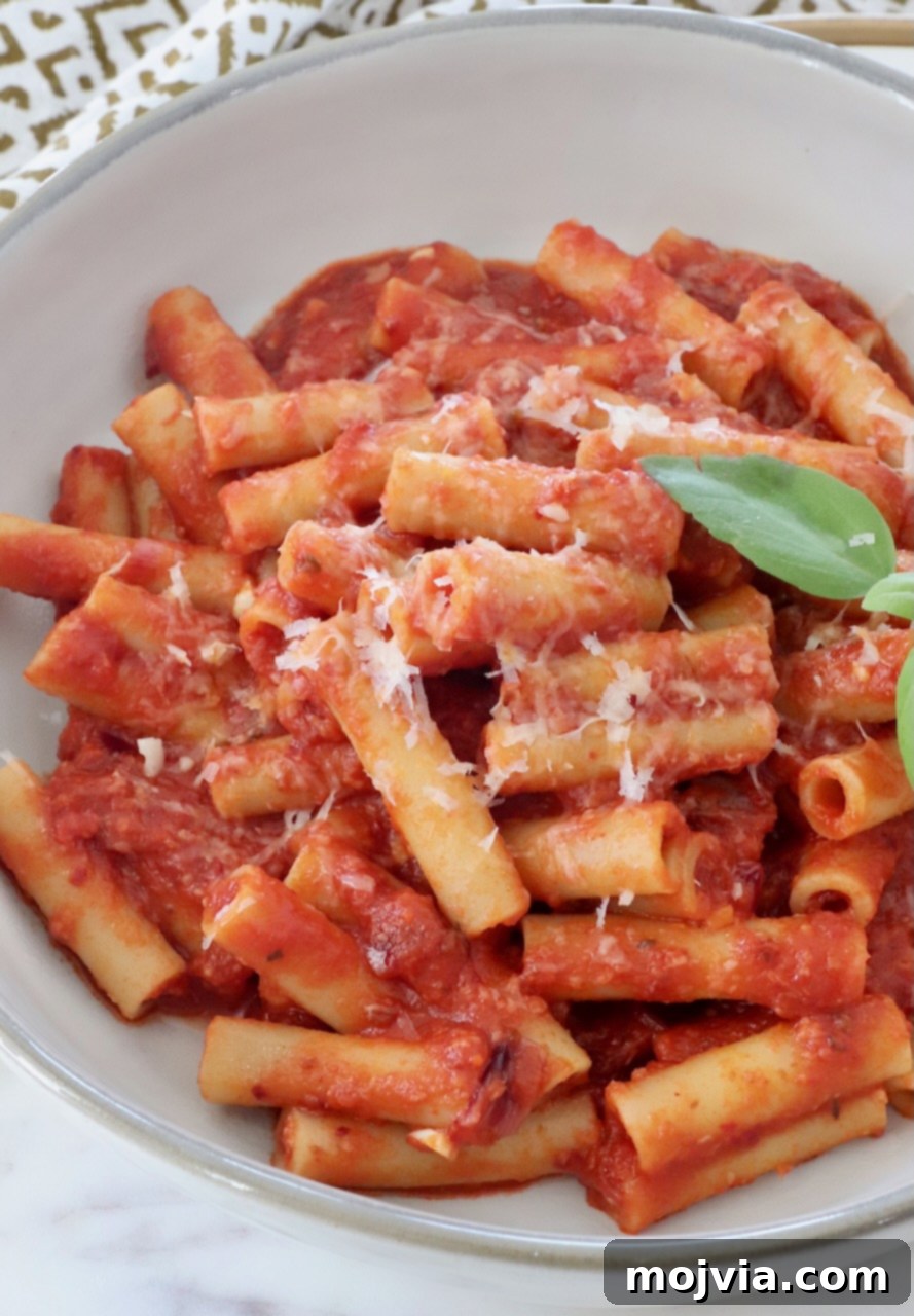 Fiery Nduja Tomato Sauce 2 Ziti pasta tossed with fiery tomato nduja sauce in a rustic bowl, garnished with fresh basil leaves