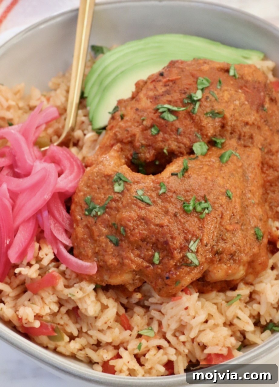 Mexican Chicken Adobo served over rice with avocado and pickled onions