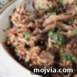 Pork Carnitas 11 shredded pork carnitas in a bowl