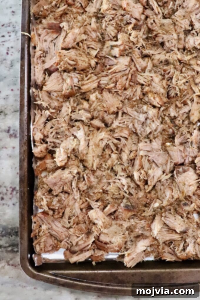 Pork Carnitas 8 shredded pork spread out on a baking sheet