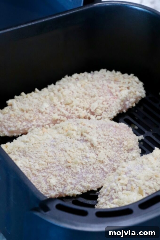 Panko-crusted raw chicken breasts carefully placed in a single layer within an air fryer basket, ready for cooking to achieve a crispy texture.