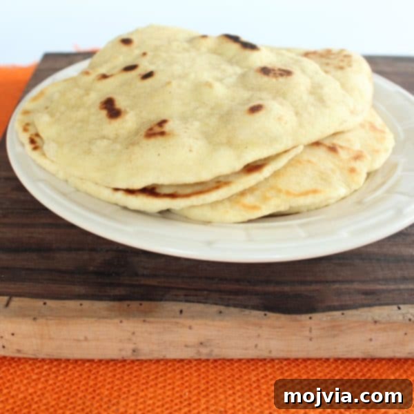 Pan-Fried Roti 2 Roti Bread Recipe
