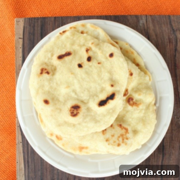 Pan-Fried Roti 3 Pan Fried Roti Bread