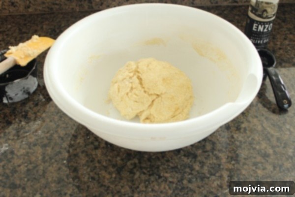 Pan-Fried Roti 6 Roti Bread Dough