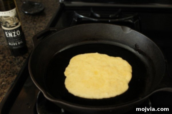 Pan-Fried Roti 9 Pan Fried Roti Bread