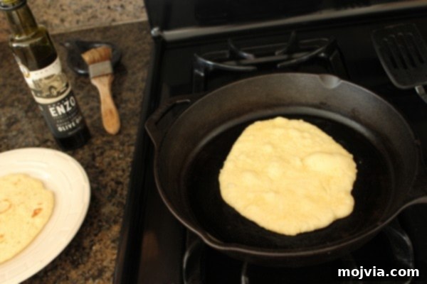 Pan-Fried Roti 10 Pan Fried Roti Bread