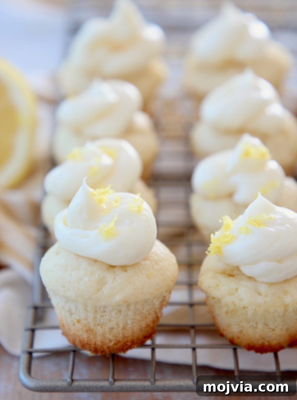 Zesty Lemon Buttercream Cupcakes 3 Miniature lemon cupcakes with lemon buttercream frosting on wire baking rack