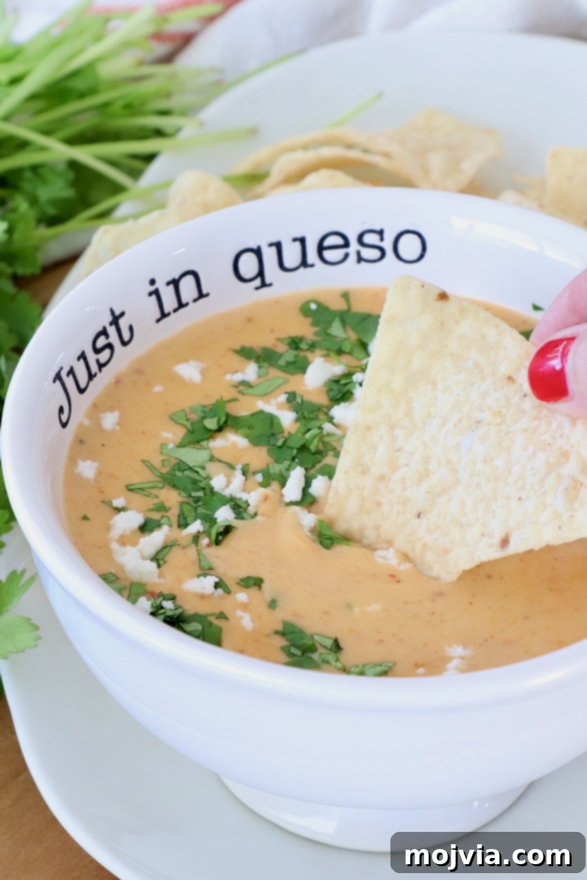 Curried Cheese Dip 2 A bowl of curry queso dip garnished with cilantro and cheese, labeled 'Just in queso.' Tortilla chips are being dipped into the queso.