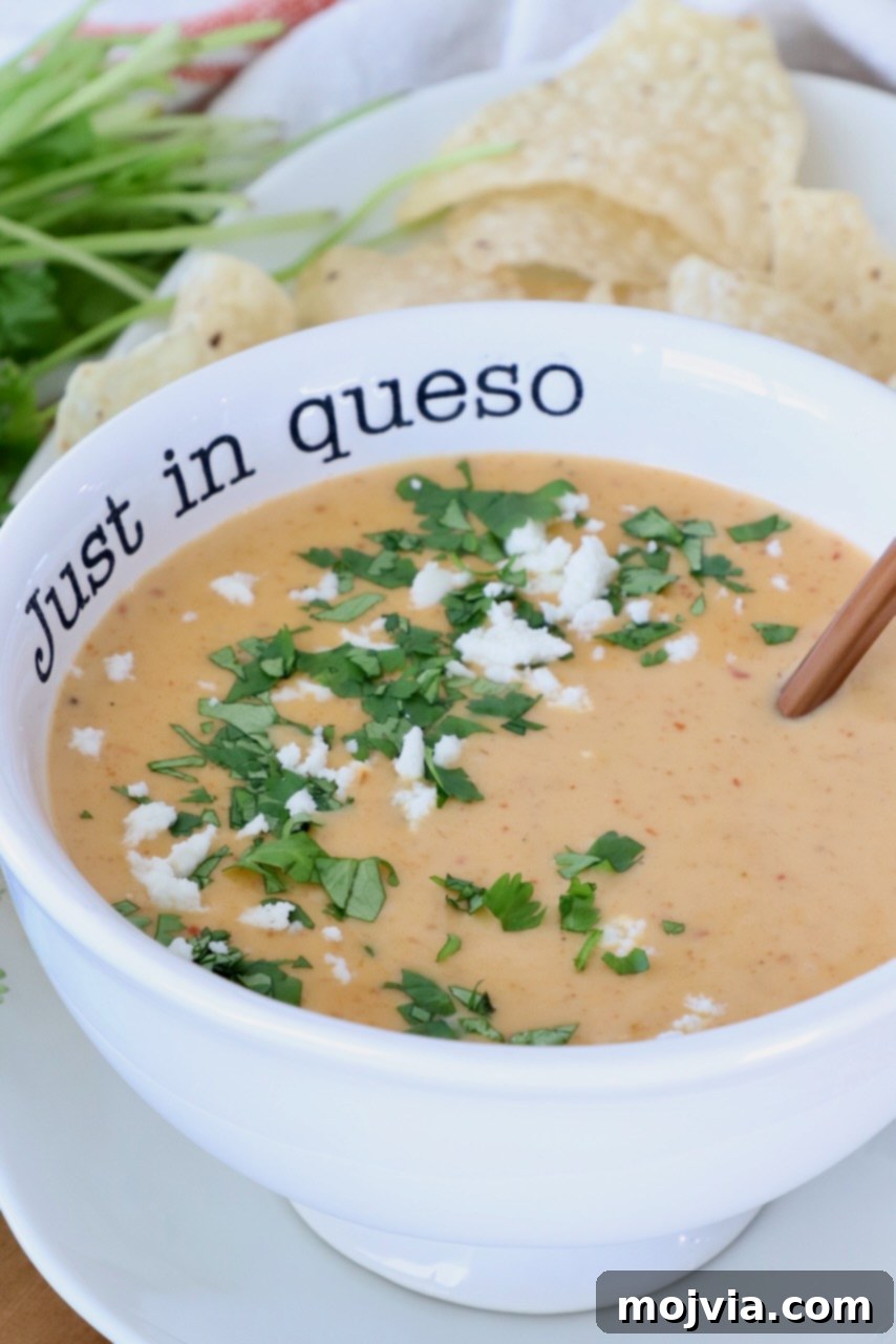 Curried Cheese Dip 8 A bowl of creamy queso topped with chopped cilantro and crumbled cheese, served with tortilla chips. The bowl reads 'Just in queso.'
