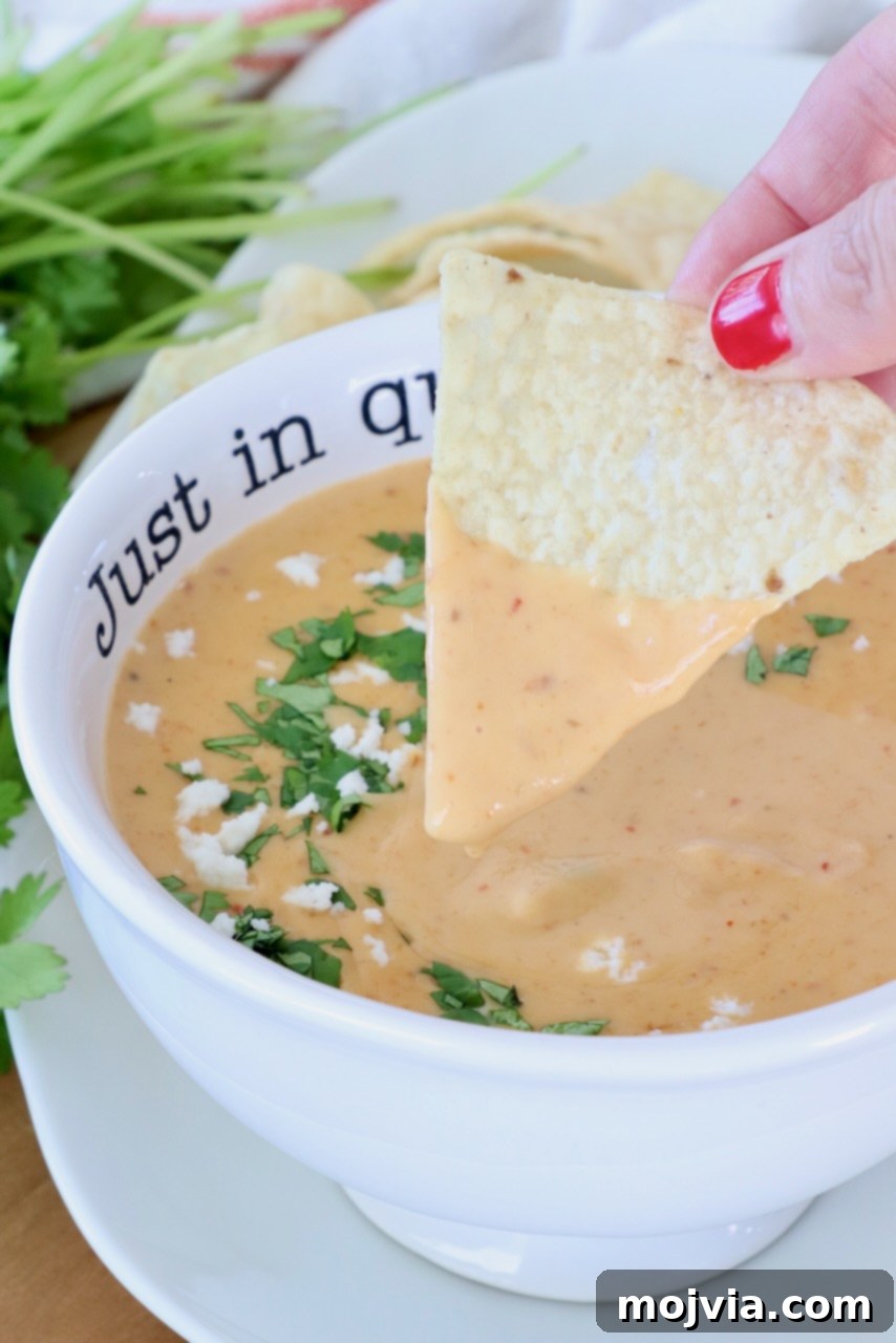 Curried Cheese Dip 9 A hand dipping a tortilla chip into creamy queso garnished with cilantro and queso fresco. The bowl reads 'Just in queso.'
