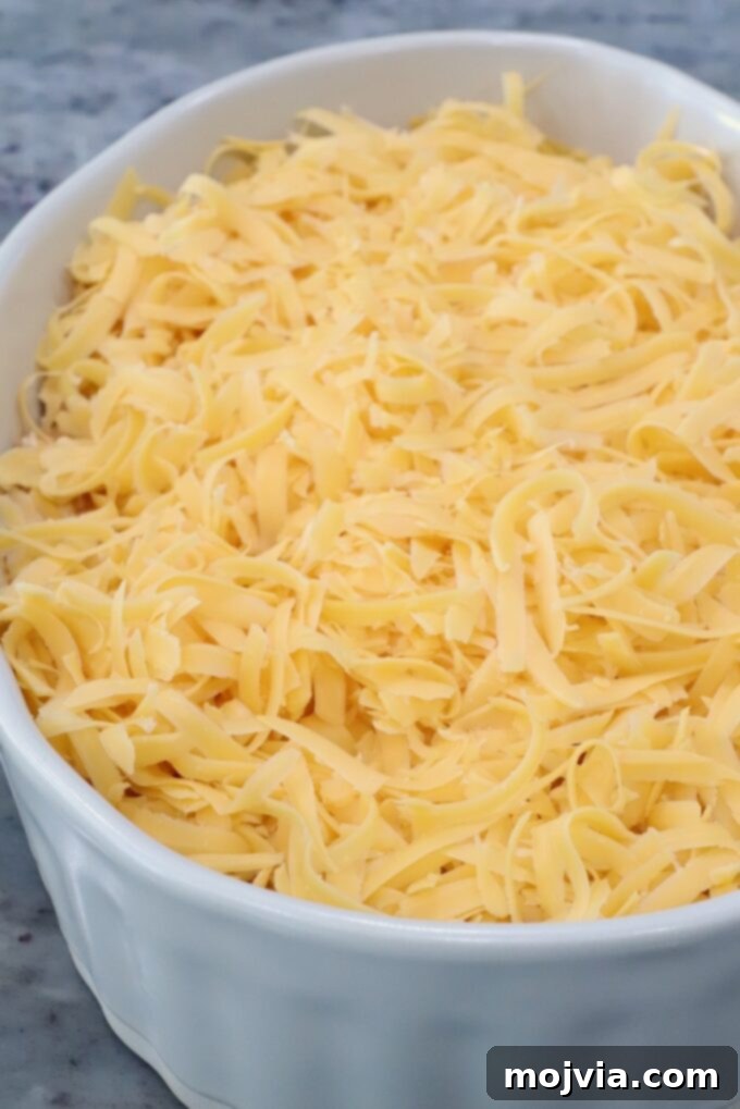 Nashville Spicy Chicken Dip 7 Adding cheese to the dip