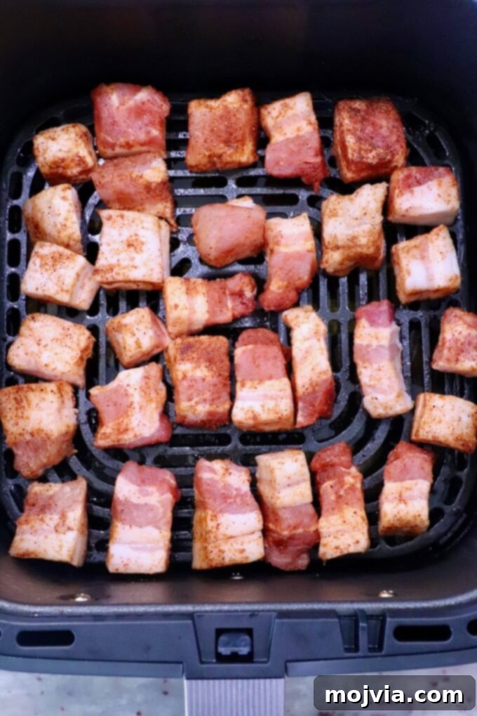 Crispy Air Fryer Pork Belly Bites 4 Seasoned Pork Belly Cubes in Air Fryer Basket
