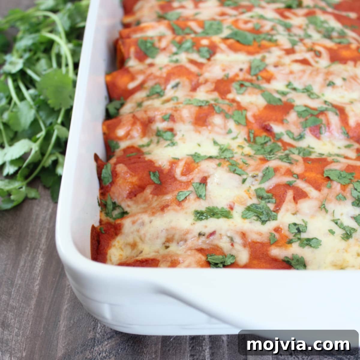 Creamy Sriracha Beef Enchiladas Recipe with Melted Cheese and Cilantro in baking dish