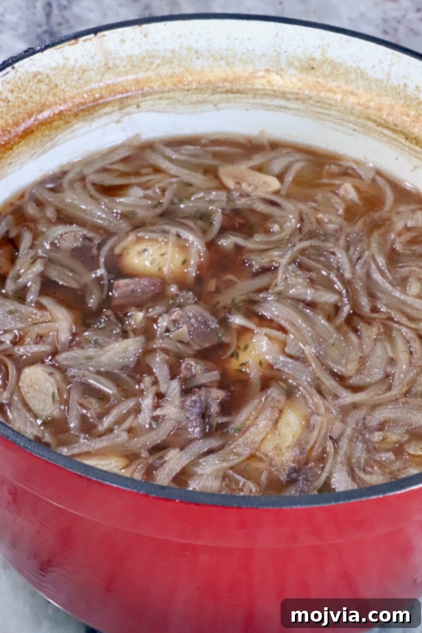 Caramelized Onion Beef Braise 10 cooked french onion beef stew in a pot on a countertop