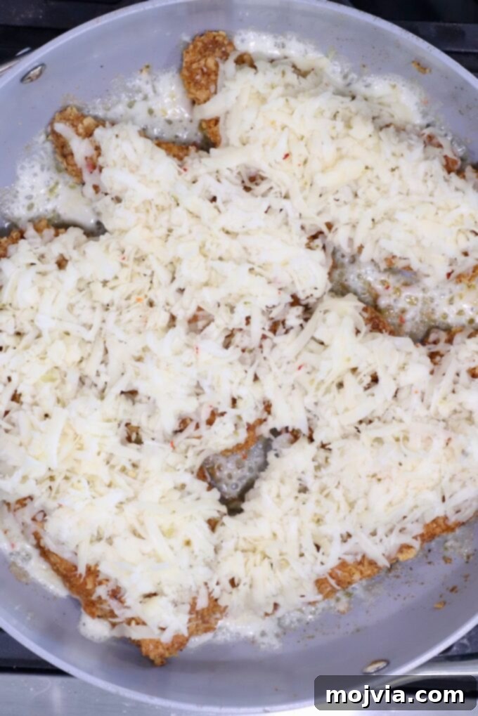 Fiesta Chicken Parmesan 7 Breaded chicken cutlets covered with melted shredded cheese are sizzling in a gray frying pan.