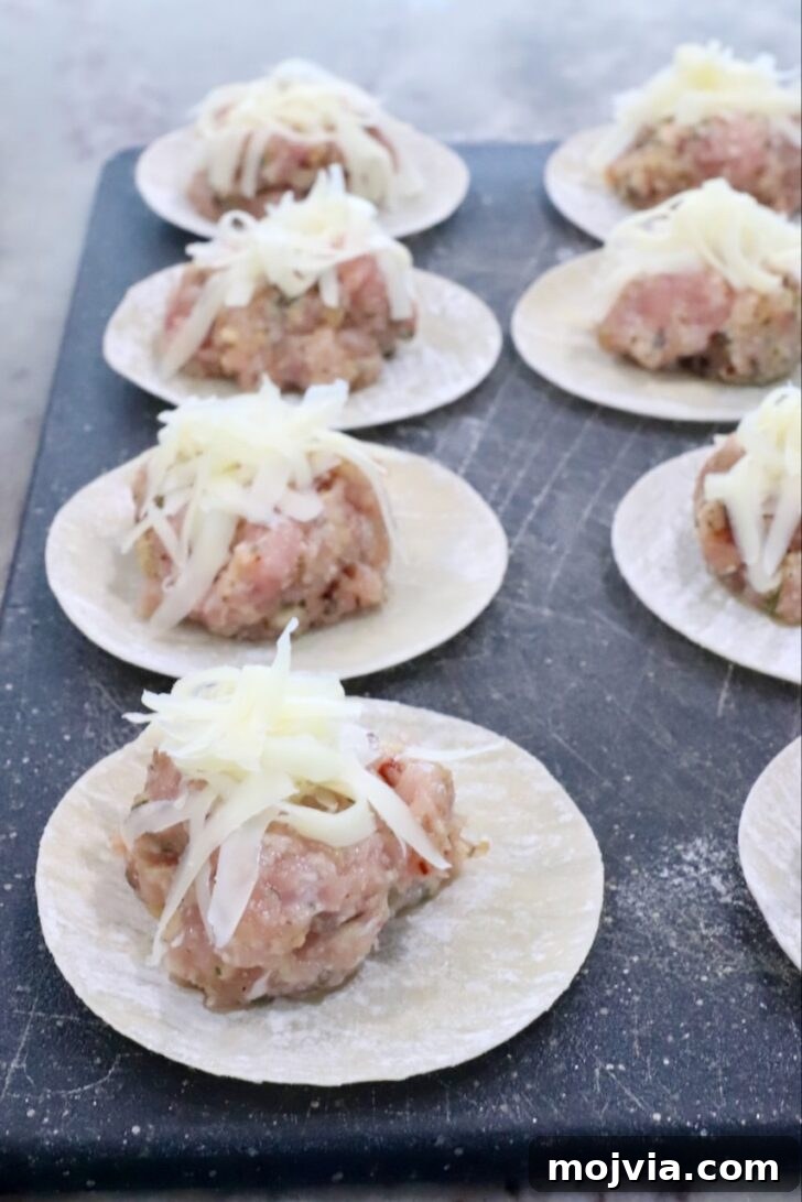 Round dumpling wrappers topped with seasoned minced meat and shredded cheese, arranged in rows on a dark surface.
