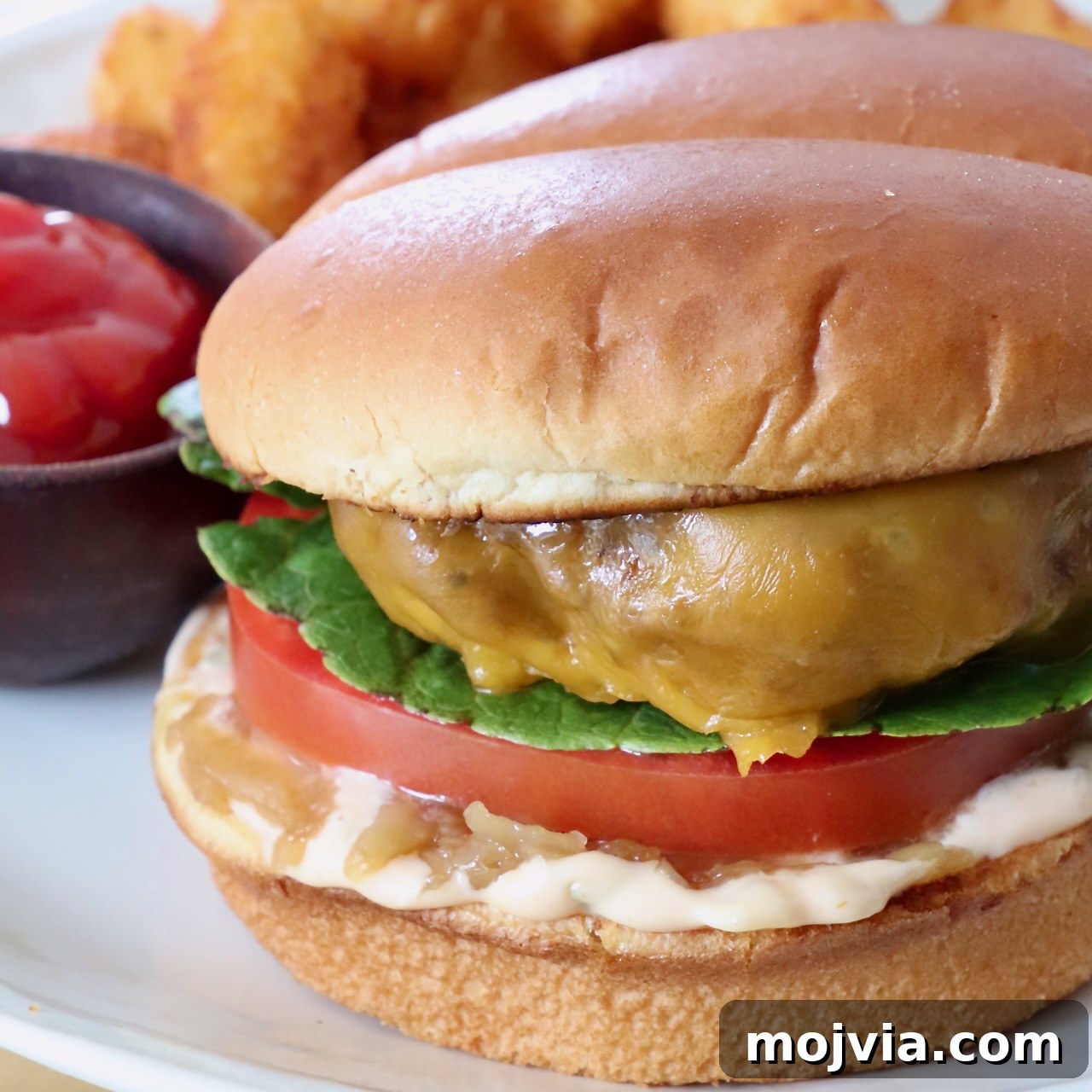 Complete Burger Guide: Techniques, Recipes & Toppings for Perfect Patties 12 cheeseburger on plate with a side bowl of ketchup